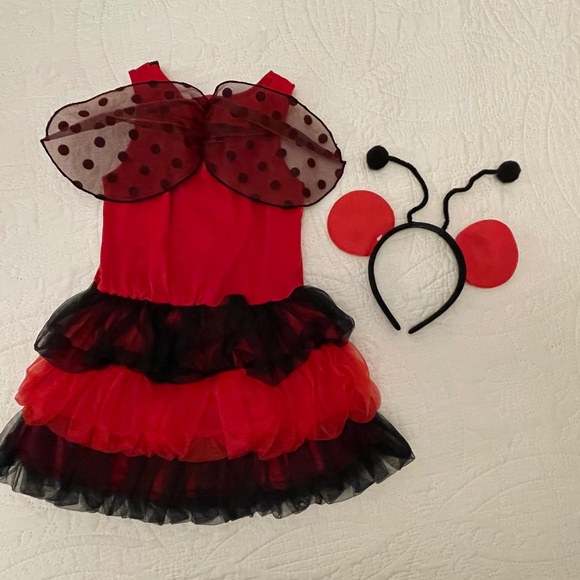 Lady Bug Costume with wings & head piece - Picture 2 of 6